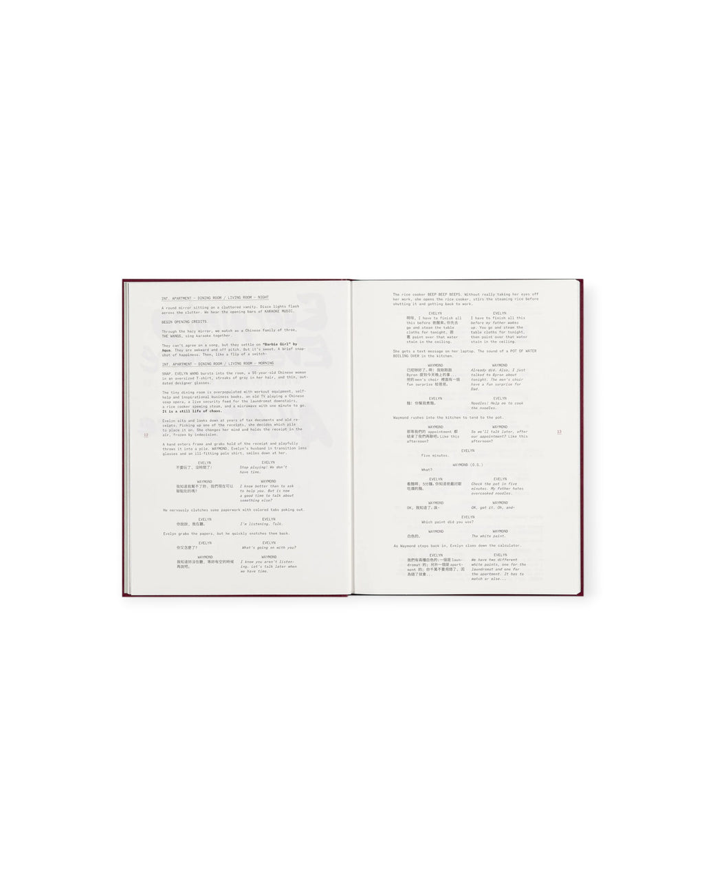 Everything Everywhere All at Once — Screenplay Book