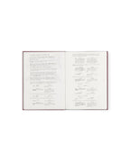 Everything Everywhere All at Once — Screenplay Book