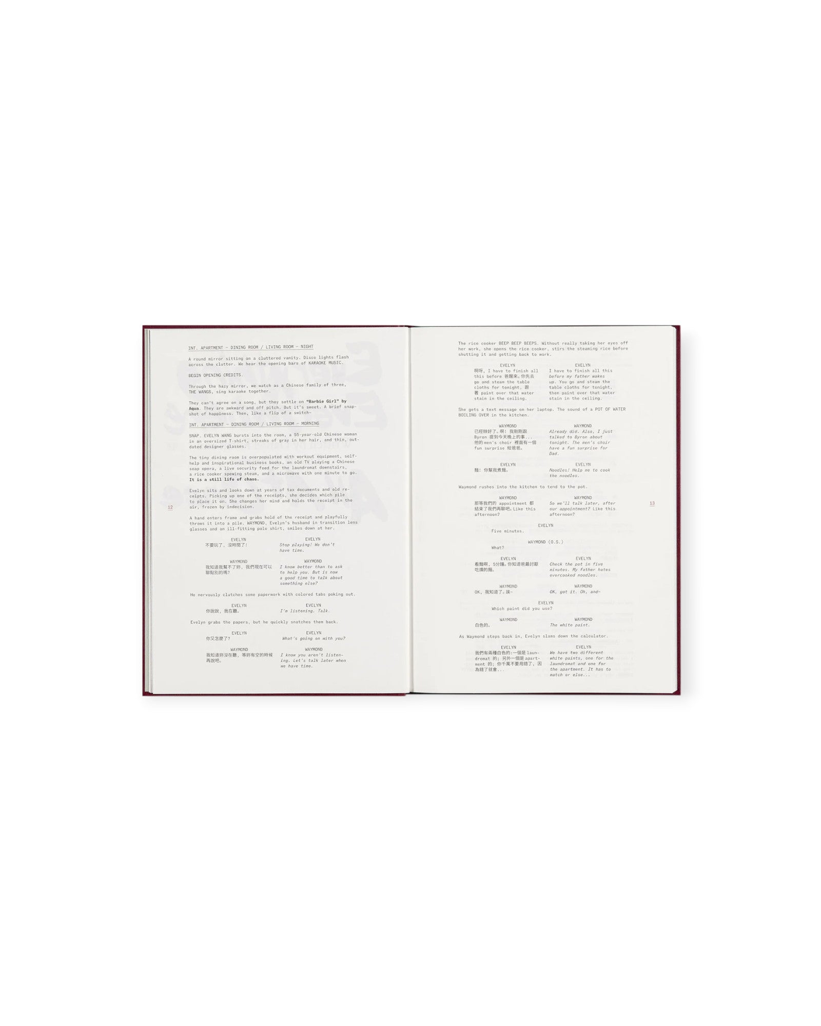 Everything Everywhere All at Once — Screenplay Book