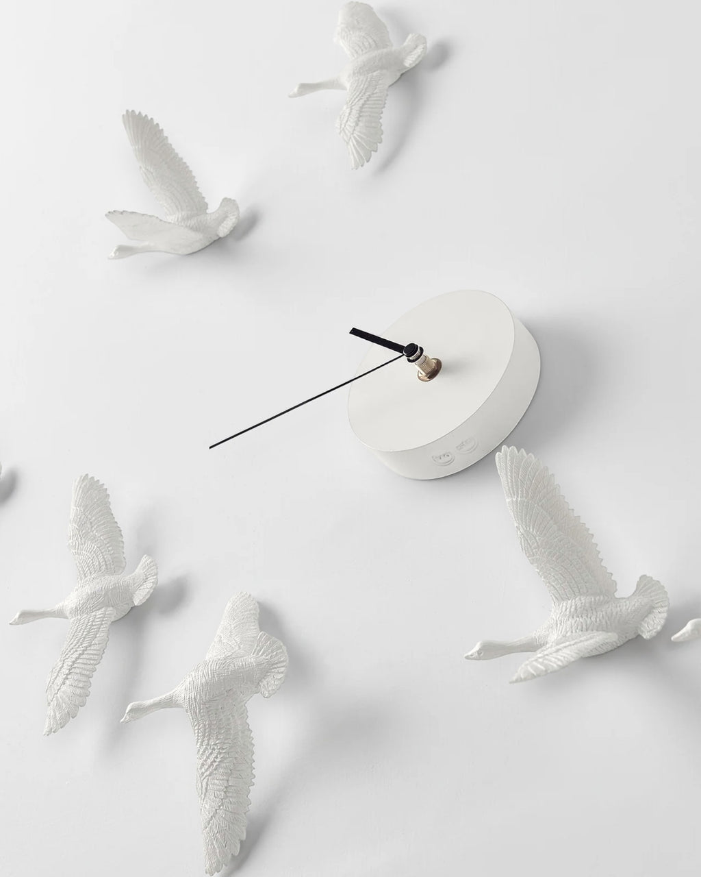 Relógio Aves