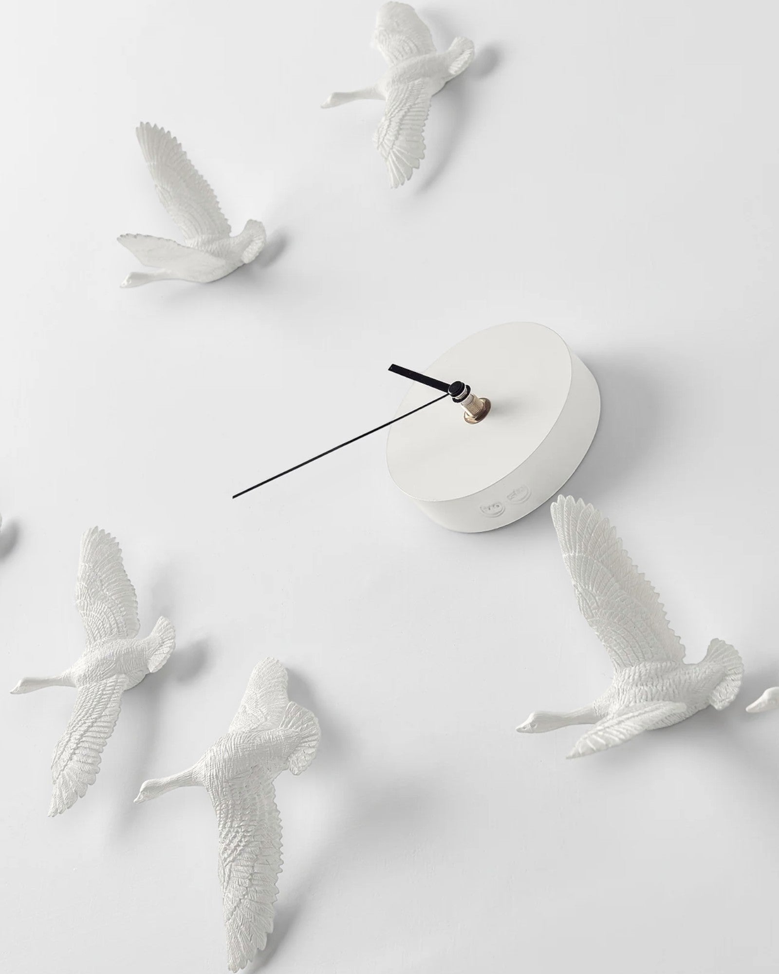 Relógio Aves