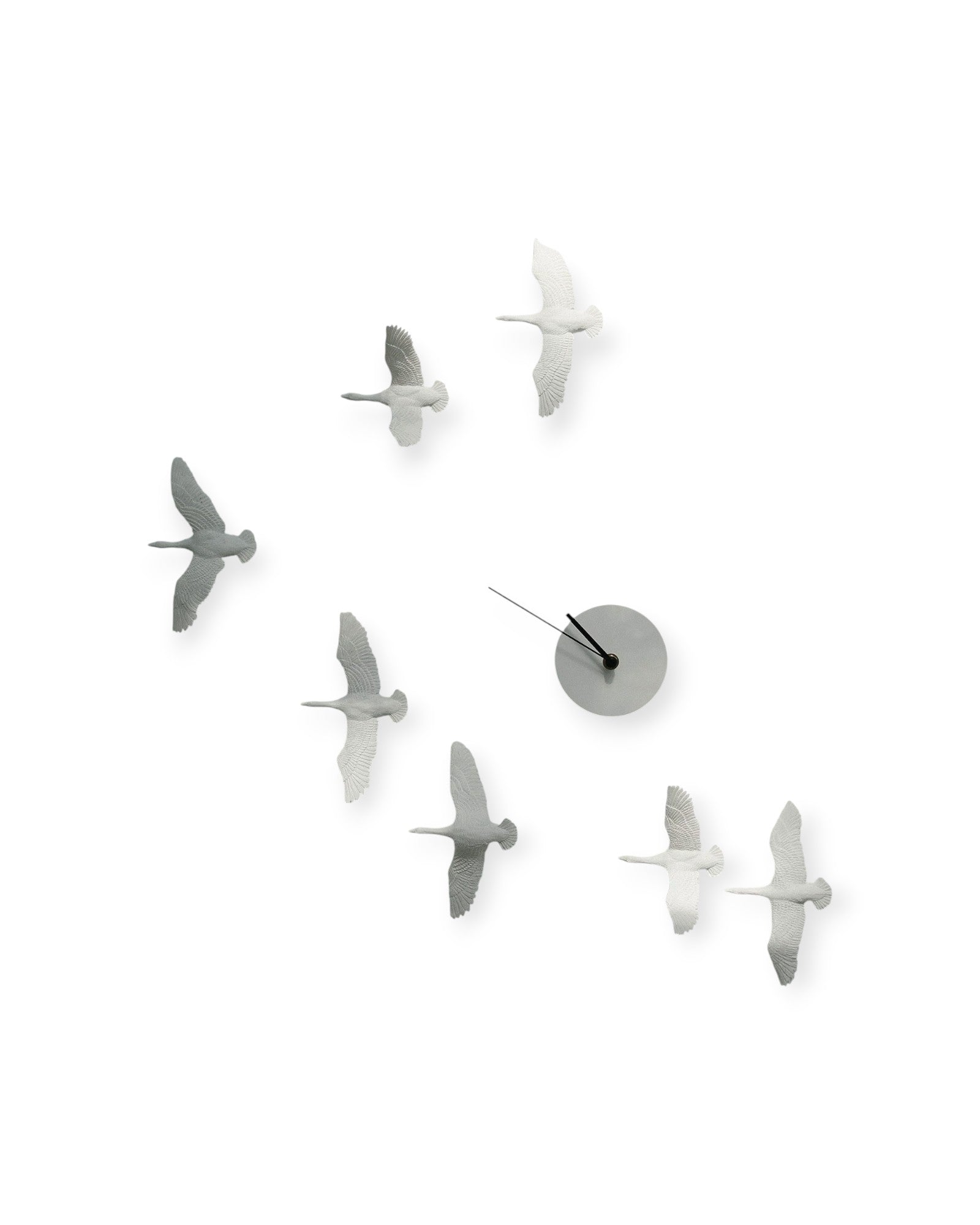 Relógio Aves